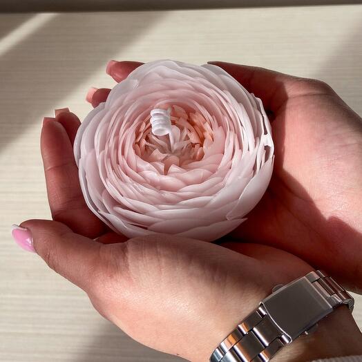 Ранункулюс из пчелиного воска 🌸