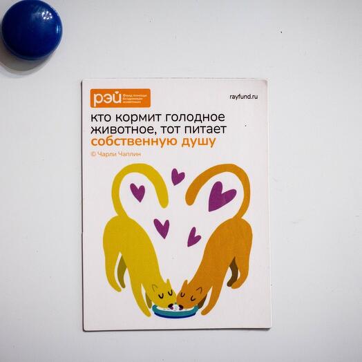 Магнит "Кто кормит голодное животное" - фонд РЭЙ