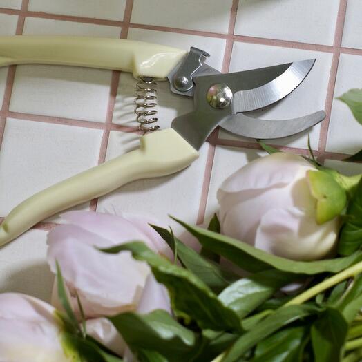 Секатор для ухода за цветами