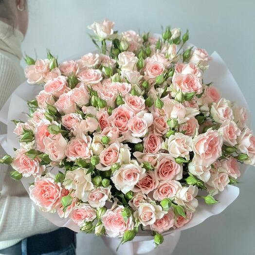 Кустовые розы СвитСара
