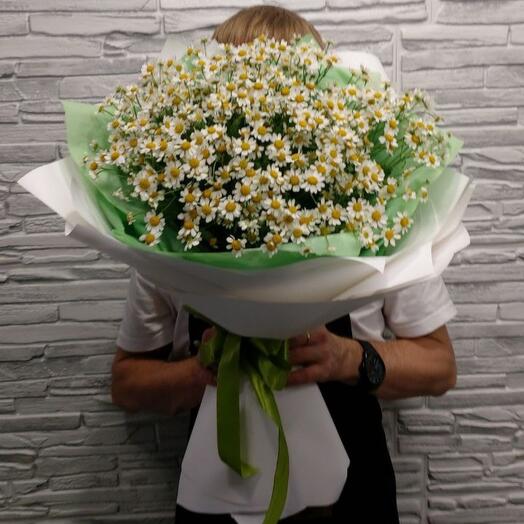 Букет Ромашковое поле