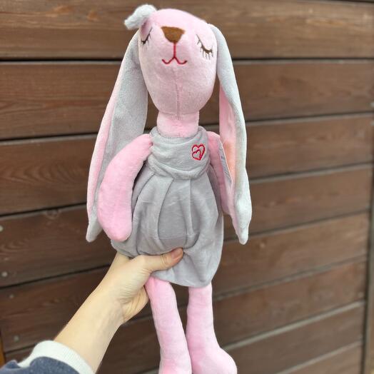 Зайка с длинными ушами🐰