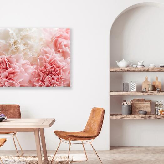 Pink White Dianthus - Photography Print