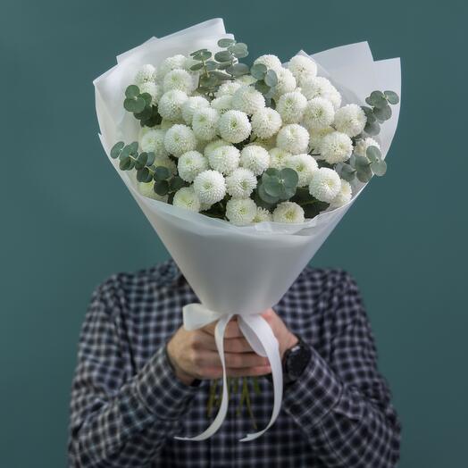 Delicate bush chrysanthemum Newton with eucalyptus