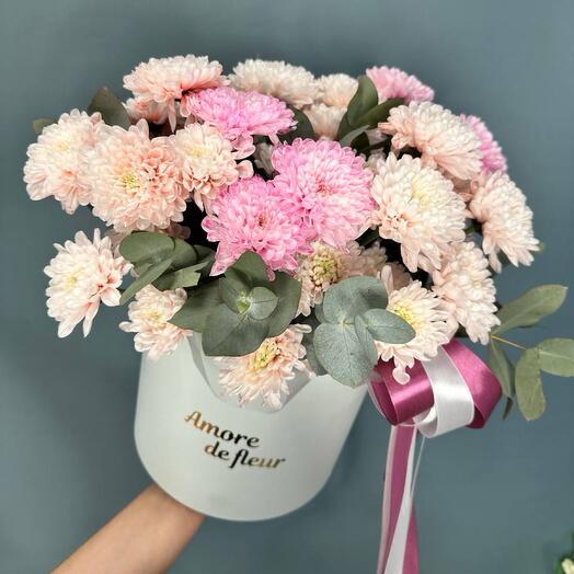 Стойкая хризантема в коробке🌸