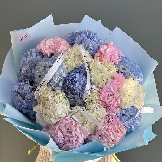Hydrangeas for your beloved