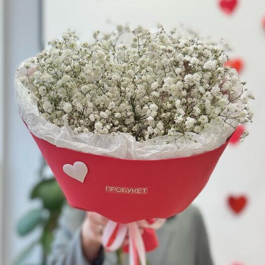 Гипсофила ♥️♥️♥️