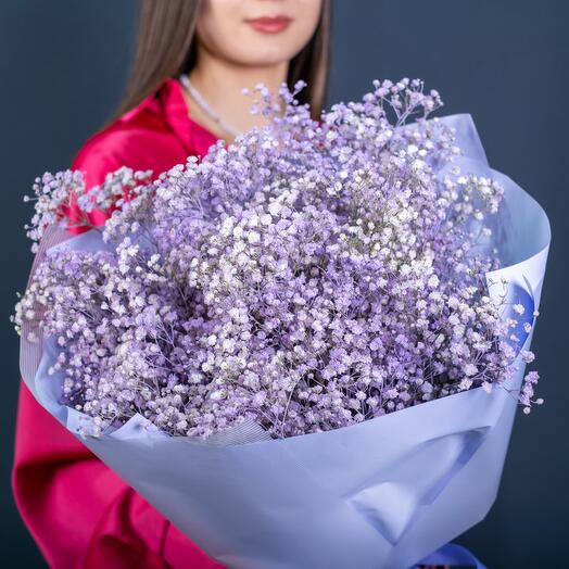 Букет из 15 фиолетовых гипсофил