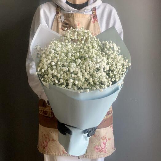 Nube de gypsophila