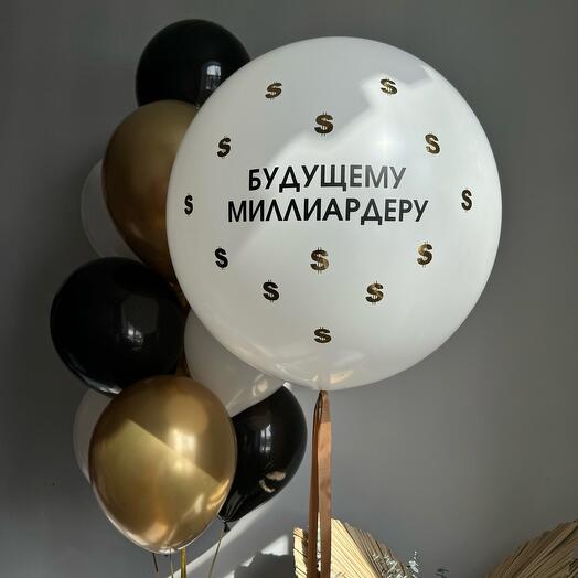 Шары для мужчины «БУДУЩЕМУ МИЛЛИАРДЕРУ» с долларами