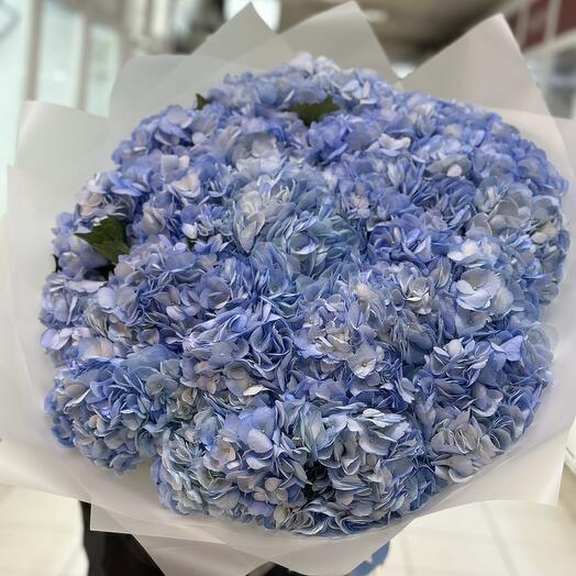 Bouquet of blue hydrangeas 25 pcs
