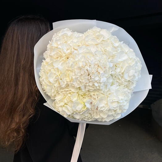 Белые гортензии