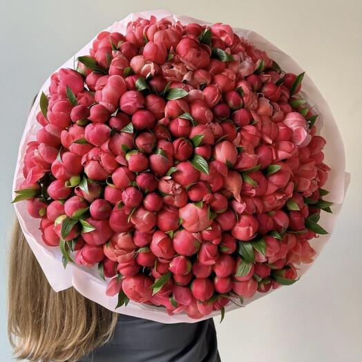 Букет из 151 кораллового пиона