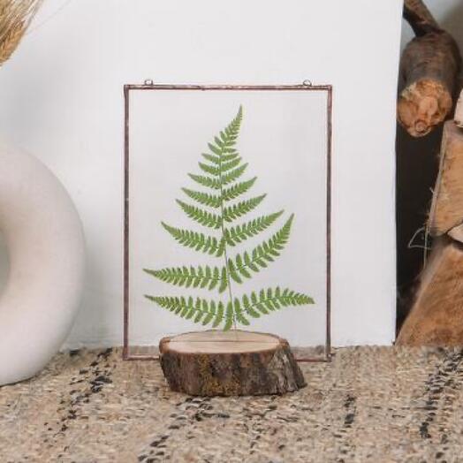 Арт. 030+222. Картина на подставке с настоящим папоротником в стекле — символичный подарок силы, природы и уюта