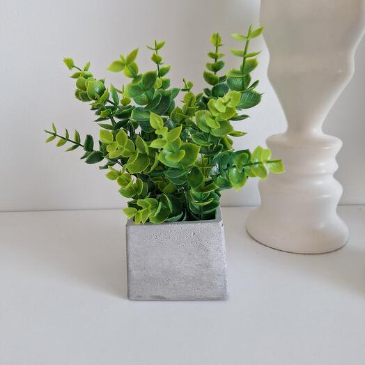 Композиция с эвкалиптом 🌱