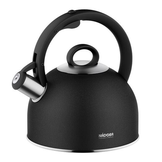 ЧАЙНИК СО СВИСТКОМ