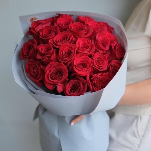 Красные розы 25 штук голландия