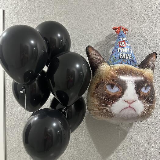 Сет «Котик»