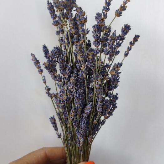 Букет из ароматной лаванды