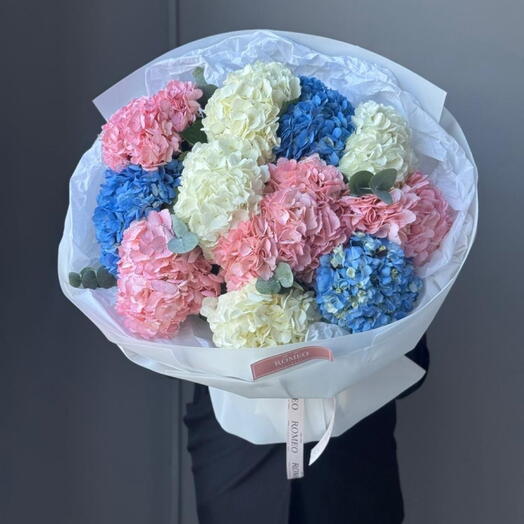 Пышное облачко из 11 гортензий