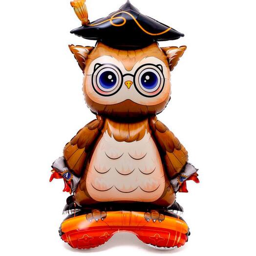 Большая Сова напольная