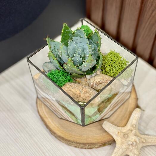 Флорариум с водоемом подарок на день рождения