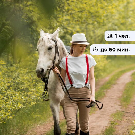 Грациозный шаг. Конная прогулка