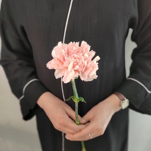 Диантус Розовый