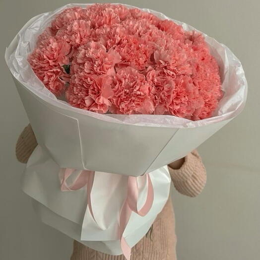 20 розовых диантусов(гвоздик)