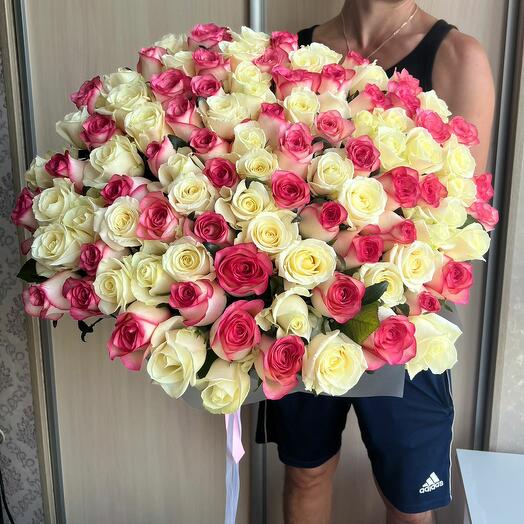 101 микс роза