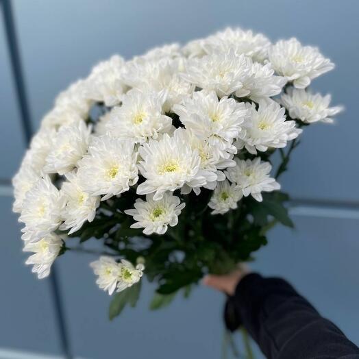 Букет траурный из 8 хризантем