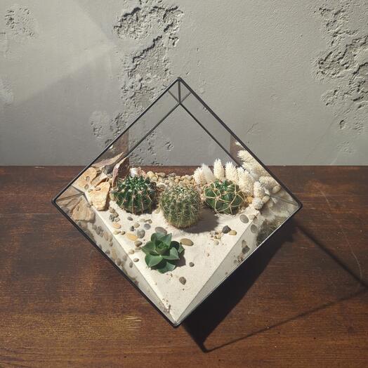 Композиция Кубоазис