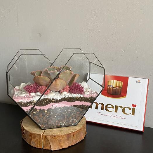 Набор флорариум и конфеты подарок маме