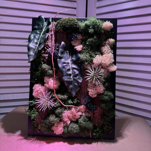 Фитокартина The Green Gallery — Зеленая галерея