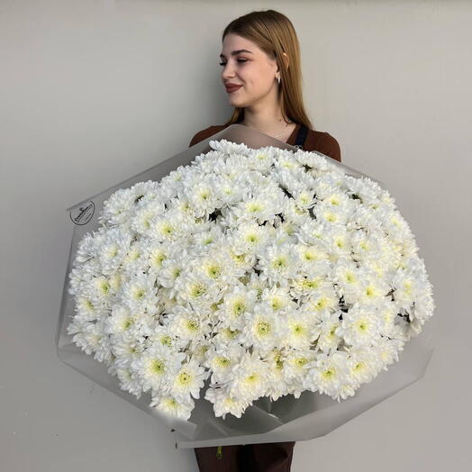 Облако хризантем