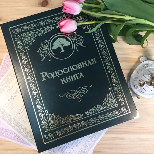 Подарочная Родословная книга «Малахитовая»