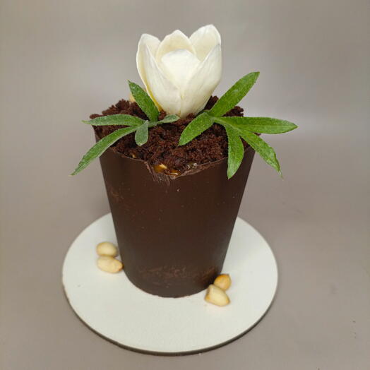 Цветочный горшочек из шоколада