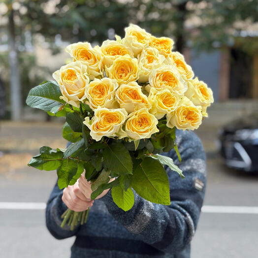 Пионовидные ароматные розы Buttercup 15