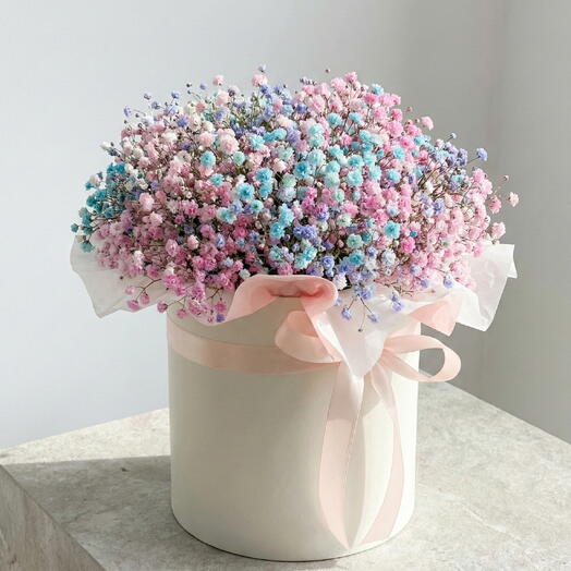 Радужная гипсофила в коробке