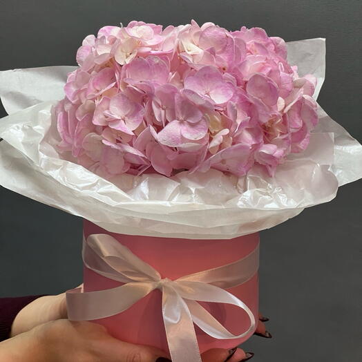 Гортензия в коробке ROSE