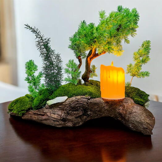 Мини сад в кашпо со стабилизированными растениями и мхом