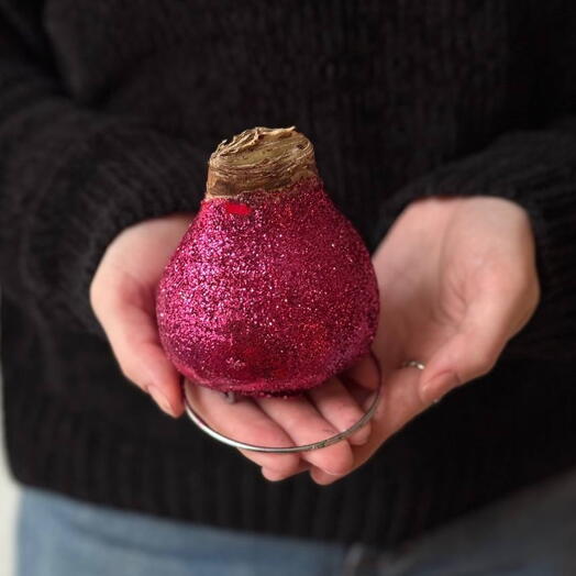 Луковица амариллиса в воске (глиттер фуксия)