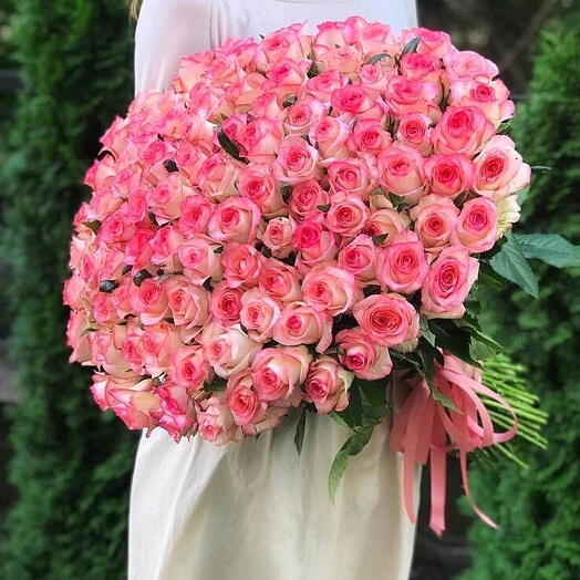 101 Роза Джумилия