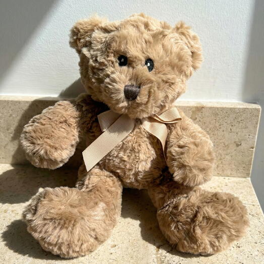 Medium Larry teddy bear