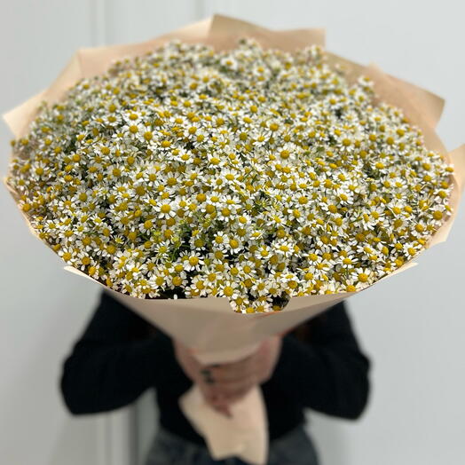 Солнечный лучик