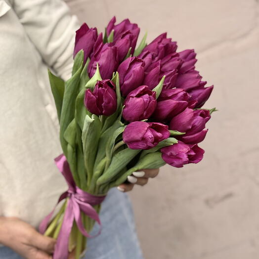 Тюльпаны сиреневые