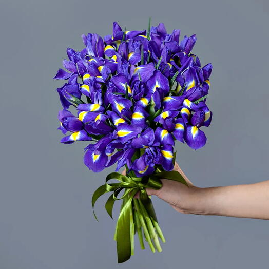 Букет из 25 ирисов