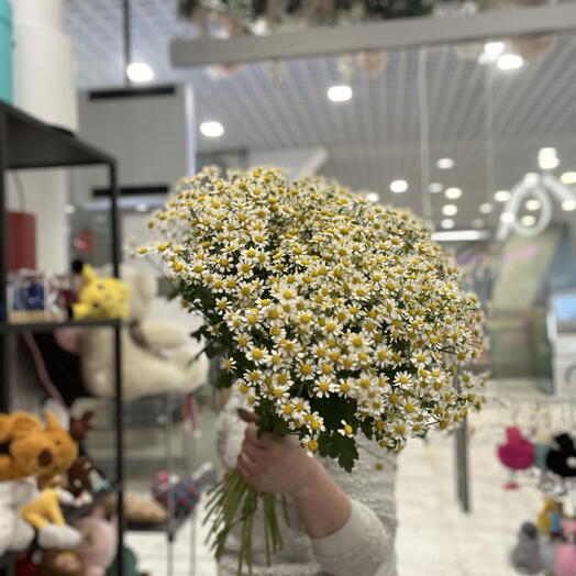 Букет из 25 ромашек
