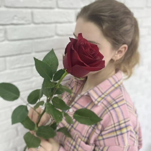 Роза