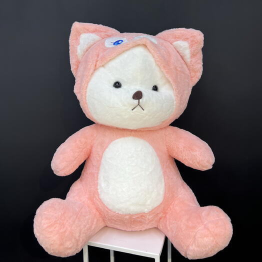 Мишка Кошка